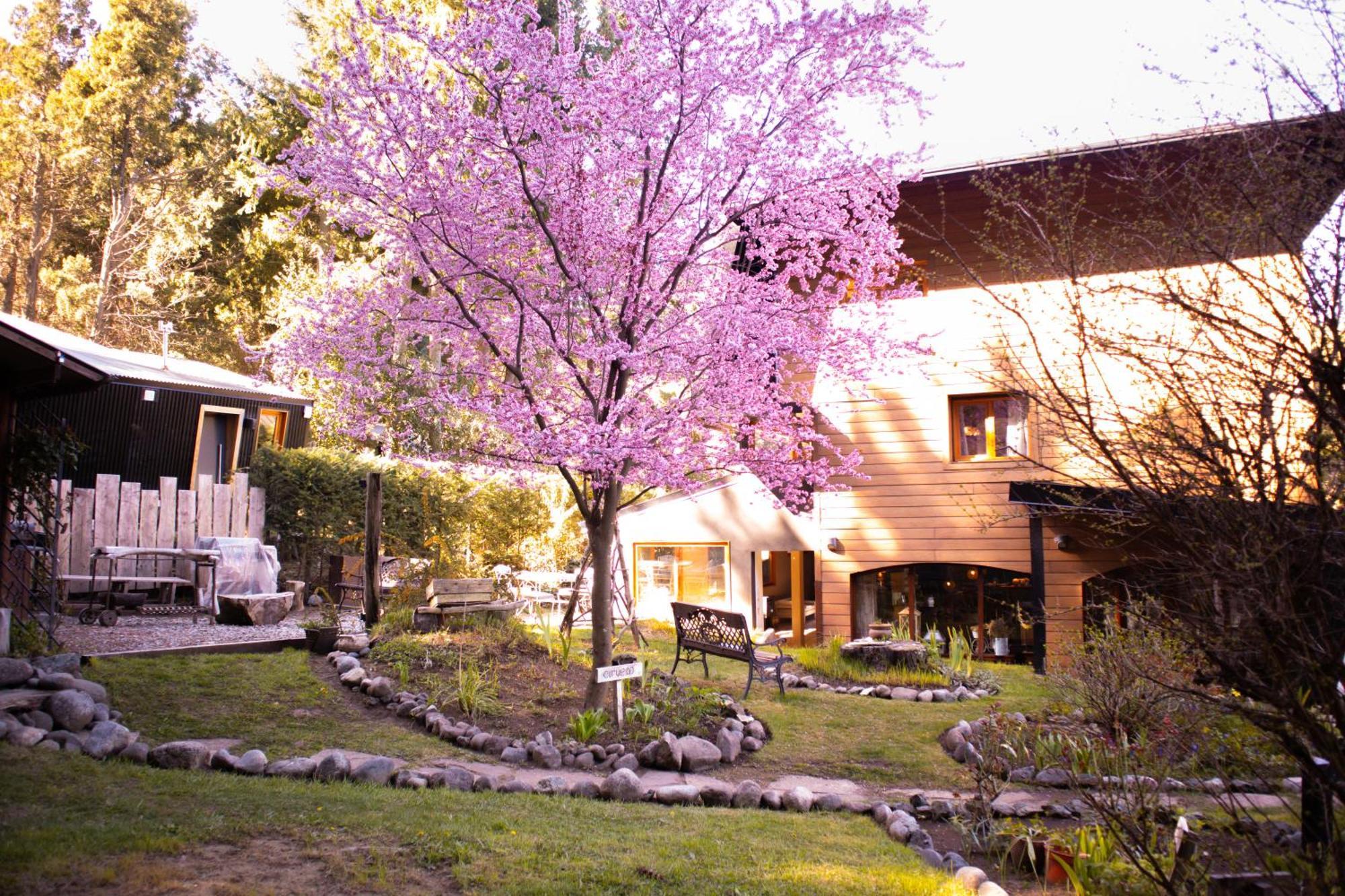 Le Bouquet Apart Hotel San Carlos de Bariloche Exterior foto